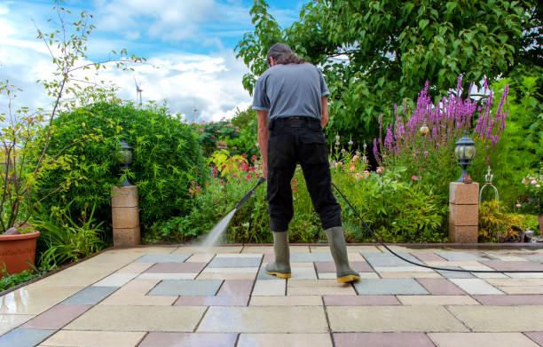 Trusted Little Canada, MN Pressure Washing Services Experts
